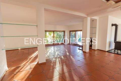 Friedrichshafen Wohnungen, Friedrichshafen Wohnung mieten