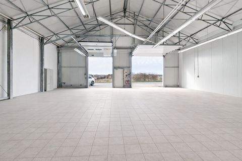 Halle Halle, Halle Hallenfläche