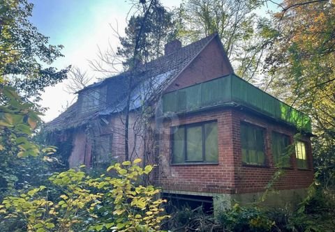 Dannenberg (Elbe) Seybruch Häuser, Dannenberg (Elbe) Seybruch Haus kaufen