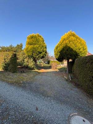 Einfahrt zum Grundstück