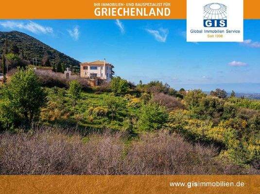 in leichter Hanglage