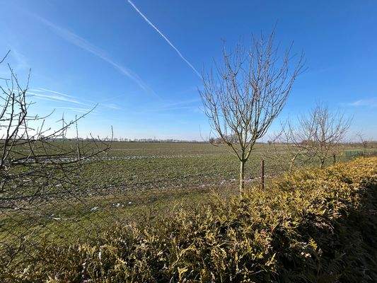 Blick auf angrenzende Felder.jpg