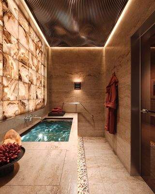 Tranquil Plunge Room