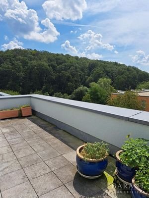 Dachterrasse "Süd" Waldblick