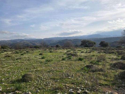 Kreta, Kato Valsamonero: Großes, bebaubares Grundstück zum Verkauf