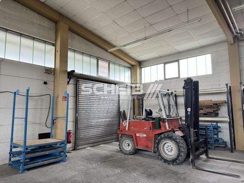 Dinkelsbühl Halle, Dinkelsbühl Hallenfläche