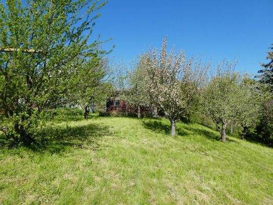 in leichter Hanglage