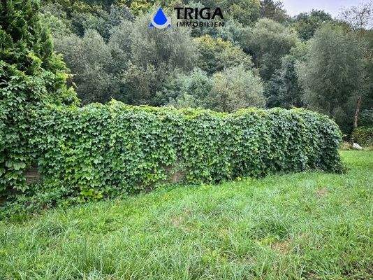 separates Grundstück an der Strasse 