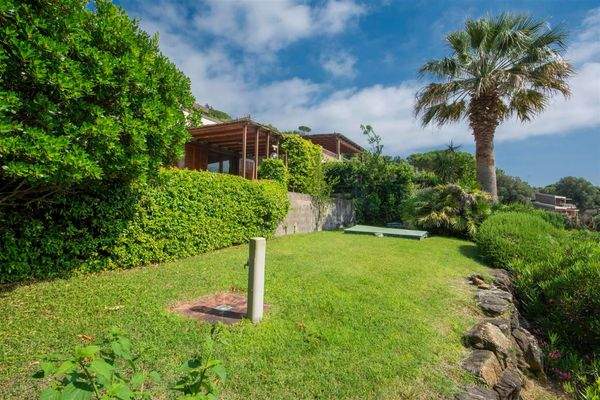 PHOTO-2024-03-11-00-14-44 3.jpg