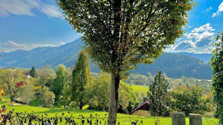 Baugrundstück in Frohnleiten