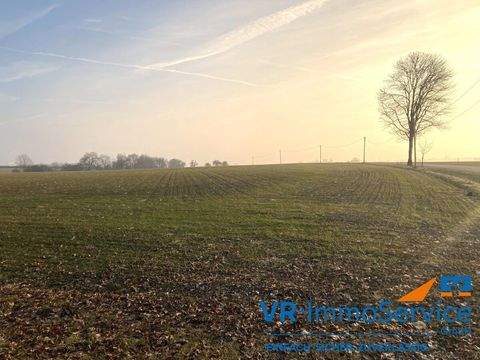 Schrozberg / Spielbach Bauernhöfe, Landwirtschaft, Schrozberg / Spielbach Forstwirtschaft