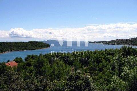 Iz - Rava Bauernhöfe, Landwirtschaft, Iz - Rava Forstwirtschaft