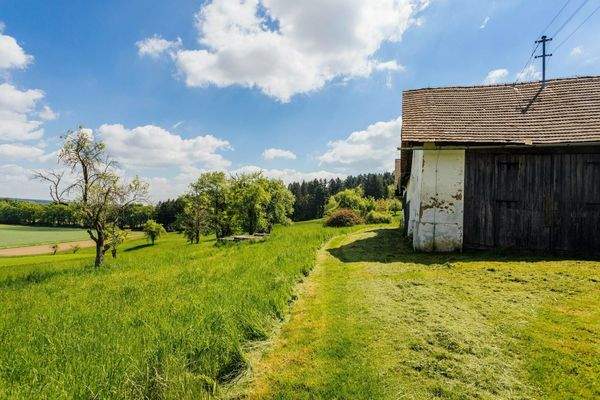 Zufahrt Hauptgebäude