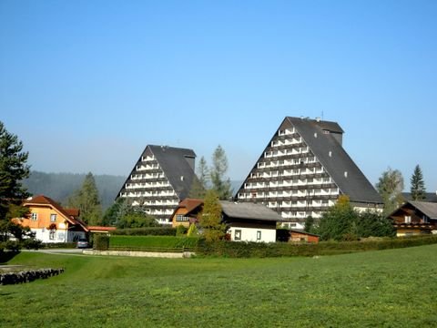 Bad Mitterndorf Wohnungen, Bad Mitterndorf Wohnung kaufen