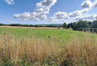 thumbnail_20250806_105813