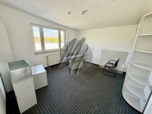 INFOS UNTER: 06171-586000