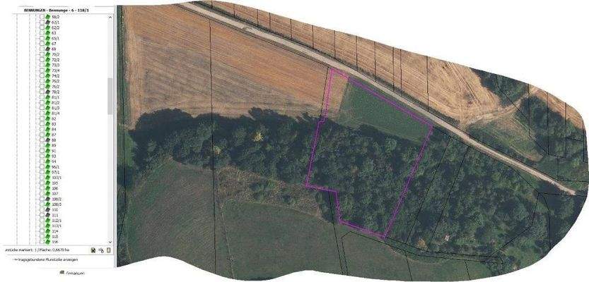 BennungenFlur 6 FSt. 118-1 (002)