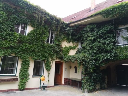 Bild 21