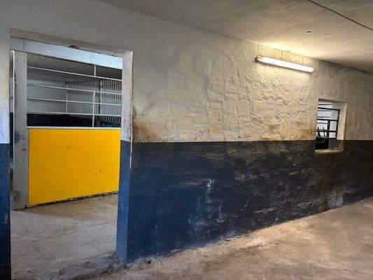 Laufstall Durchgang.jpg