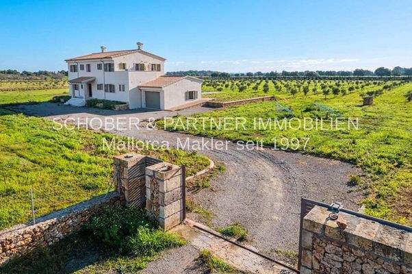 Finca Es Regalo 2, reale Bilder (1)