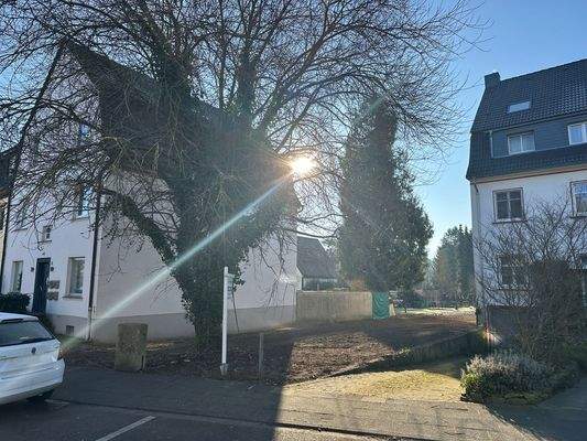 Fällgenehmigung liegt vor