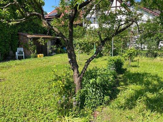 PHOTO-2025-09-02-05-55-17 (013).jpg