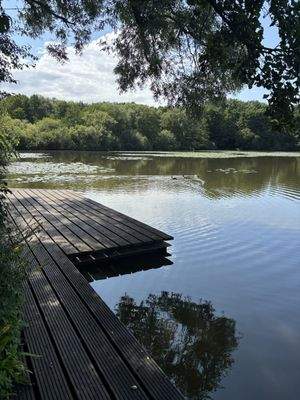 Der See in der Nähe