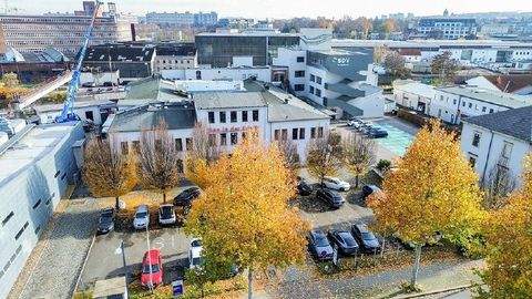 Dresden Halle, Dresden Hallenfläche