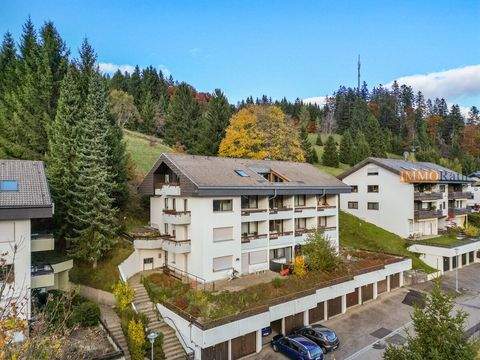 Todtmoos Wohnungen, Todtmoos Wohnung kaufen