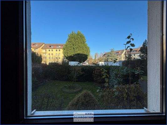 Bick in den Vorgarten 