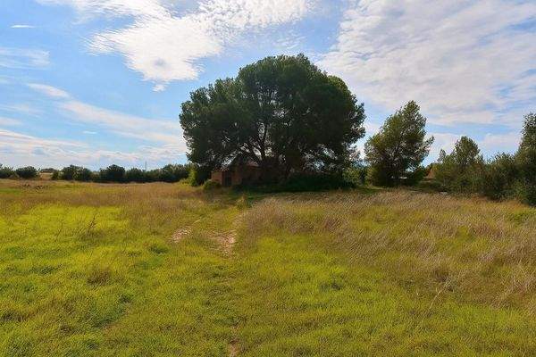 Blick auf das bestehende Haus