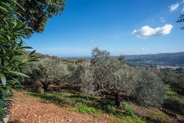 Kreta, Kolymvari: Villa mit Meer- und Bergblick und unabhängigem Apartment zu verkaufen