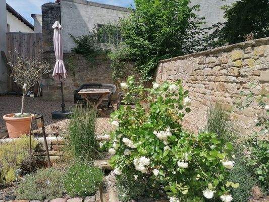 Sommerimpression 2025 Freisitz