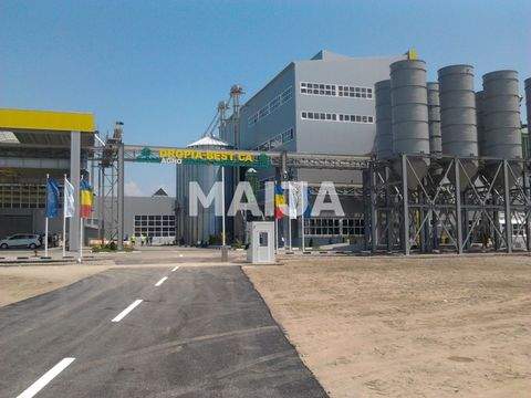 Zimnicea Büros, Büroräume, Büroflächen 