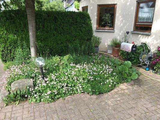 17-garden-view-from-street