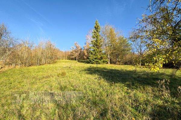 Garten leichte Hanglage hinter dem Haus