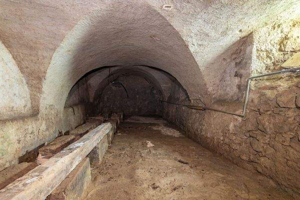 Hauptgebäude - Kreuzgewölbekeller