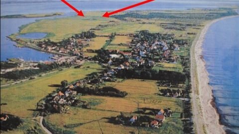 Vitte Bauernhöfe, Landwirtschaft, Vitte Forstwirtschaft