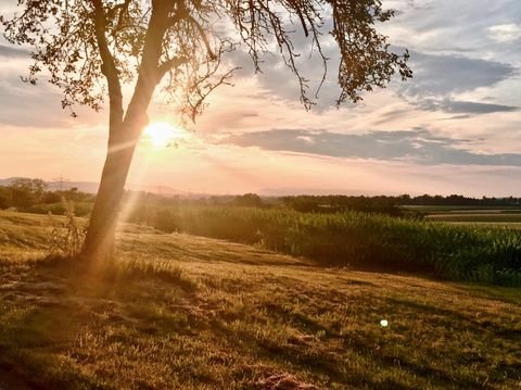 Seligenstadt Grundstücke, Seligenstadt Grundstück kaufen