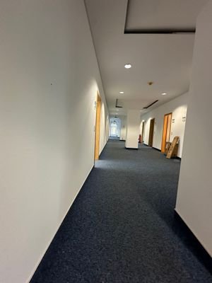 IMG_7043.jpeg
