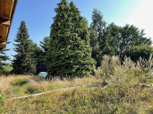 Garten mit vorbereiteter Terrasse 