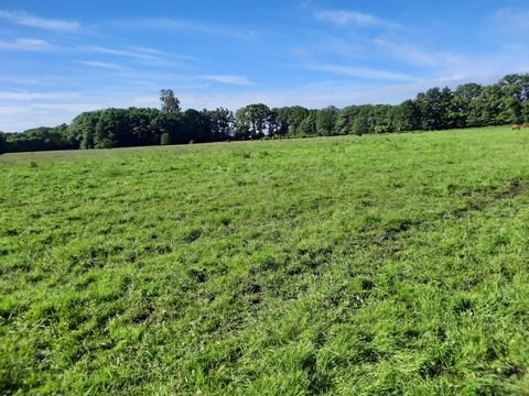 Eckernförde Bauernhöfe, Landwirtschaft, Eckernförde Forstwirtschaft