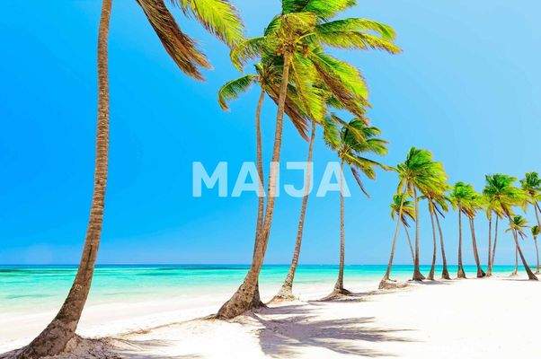 https://d2archx3akf346.cloudfront.net/promotion_image_wm_maija/665777/67e72676bd742882065393.jpg