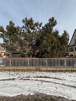 Grundstück Frontansicht