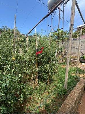 WhatsApp Image 2025-08-05 at 15.15.07 (2).jpeg