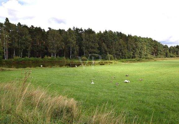 Nahes Naturschutzgebiet