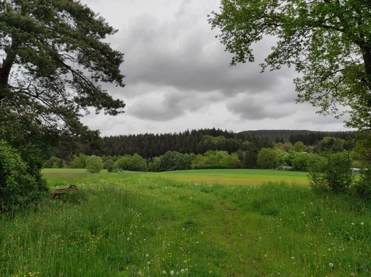 Blick auf angrenzendes zugehöriges Flurstück