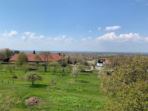 Lauf Grundstücke, Lauf Grundstück kaufen