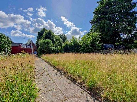 Garten / Wiese im hinteren Teil des Grundstücks