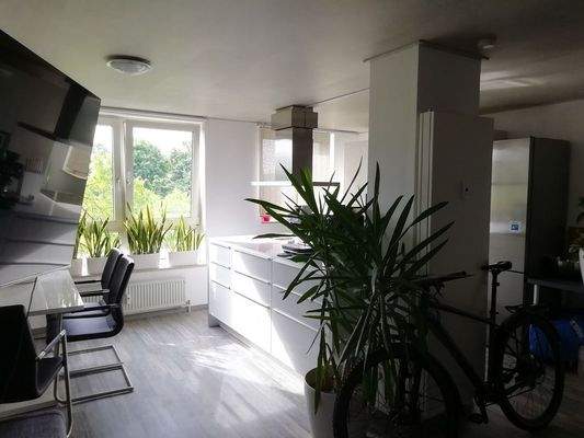 Koch-_und_Wohnbereich